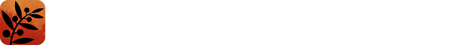 WITNESS Data logo
